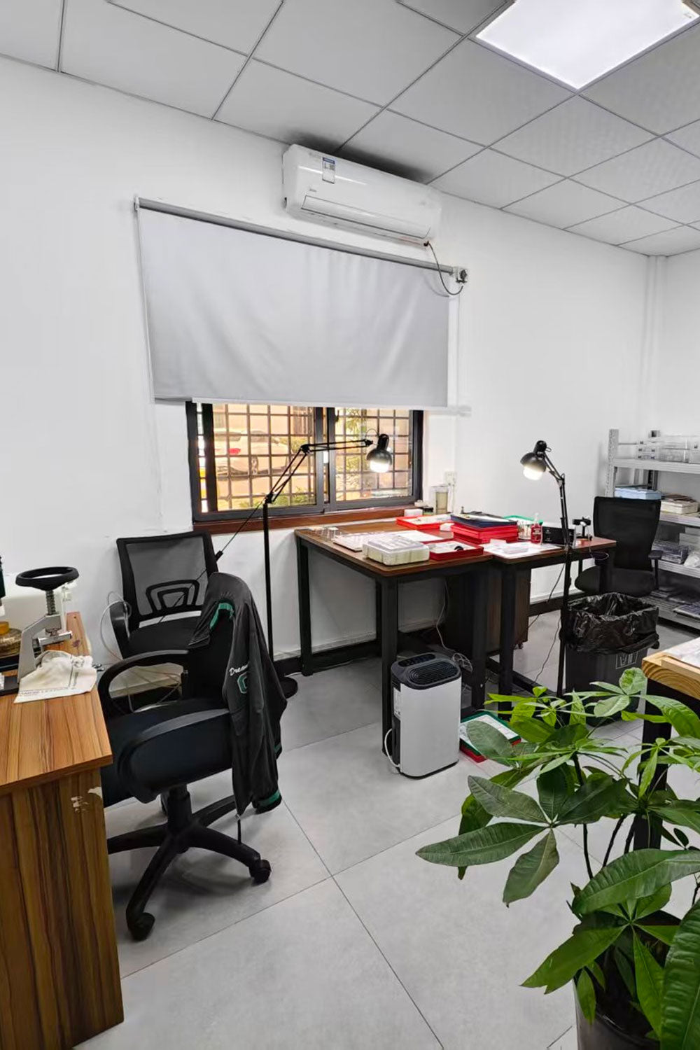 An office workspace with a desk setup, black office chairs, a window with a white roller blind, shelving, and a green potted plant in the foreground.